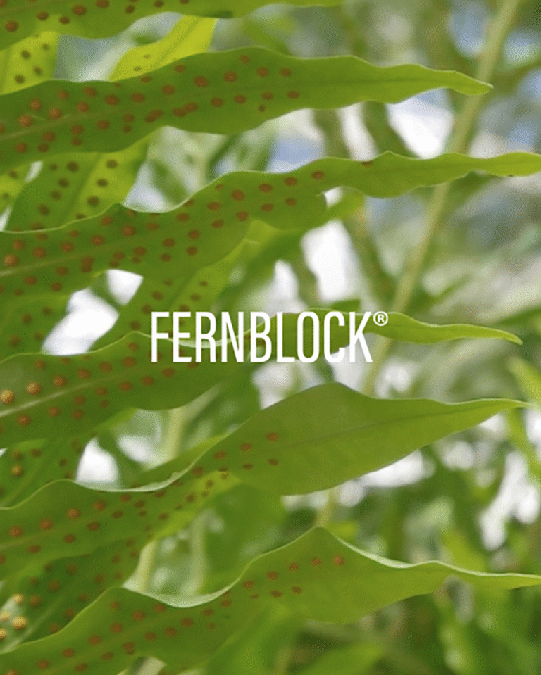 Billede til sociale medier Heliocare Fernblock